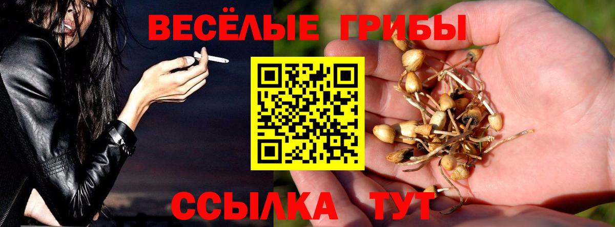 Батайск  где продают наркотики  Вход с VPN  Псилоцибиновые грибы мухоморы 